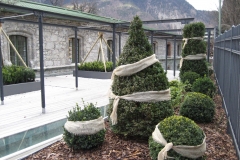 bild_022_big